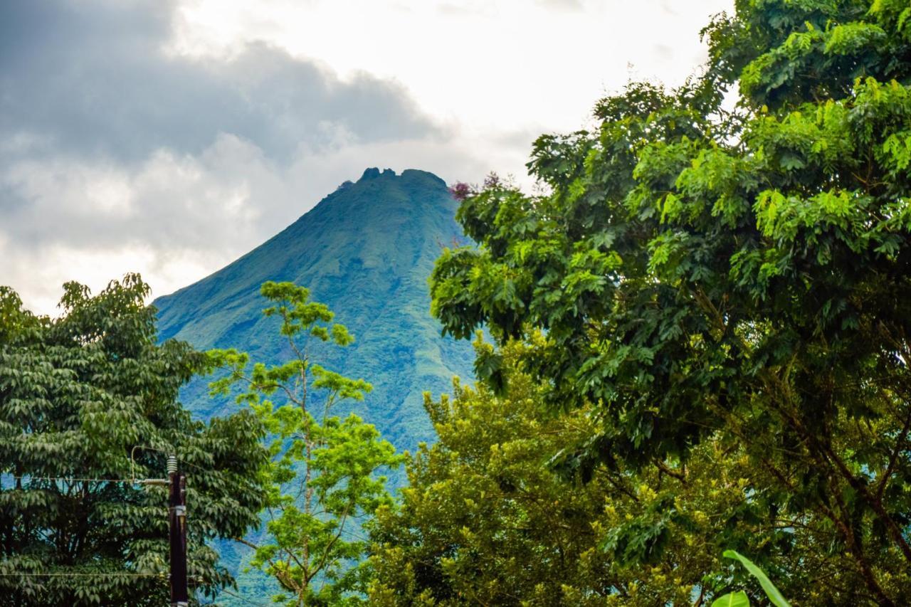 Yellow Tree La Fortuna